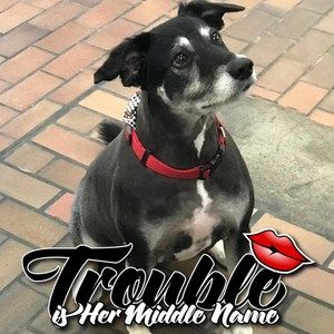 Meet your Posher, Diana